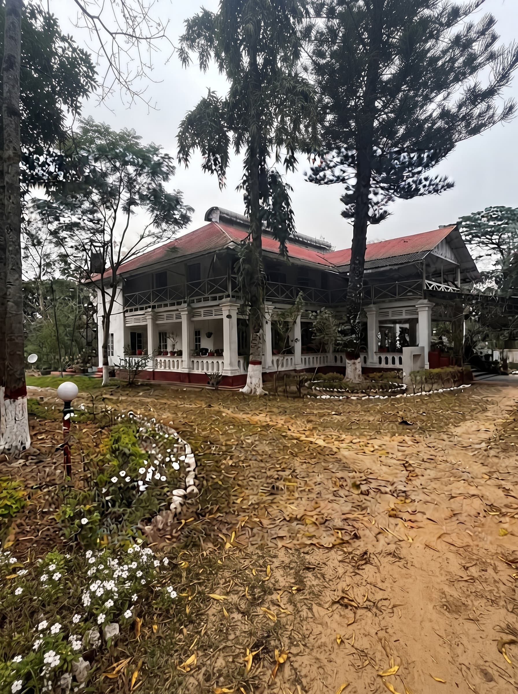 তেলিয়াপাড়া চা বাগান- একটি মহিমান্বিত সমাবেশের নীরব সাক্ষী