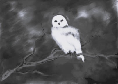 আট বছর আগের একদিন